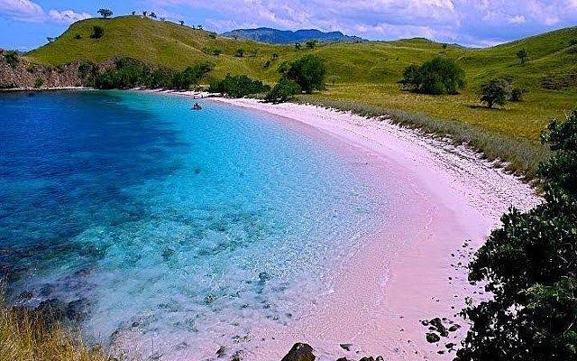 Menikmati Suasana Pantai di Lombok